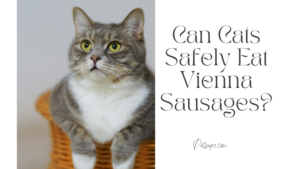 Can Cats Safely Eat Vienna Sausages?