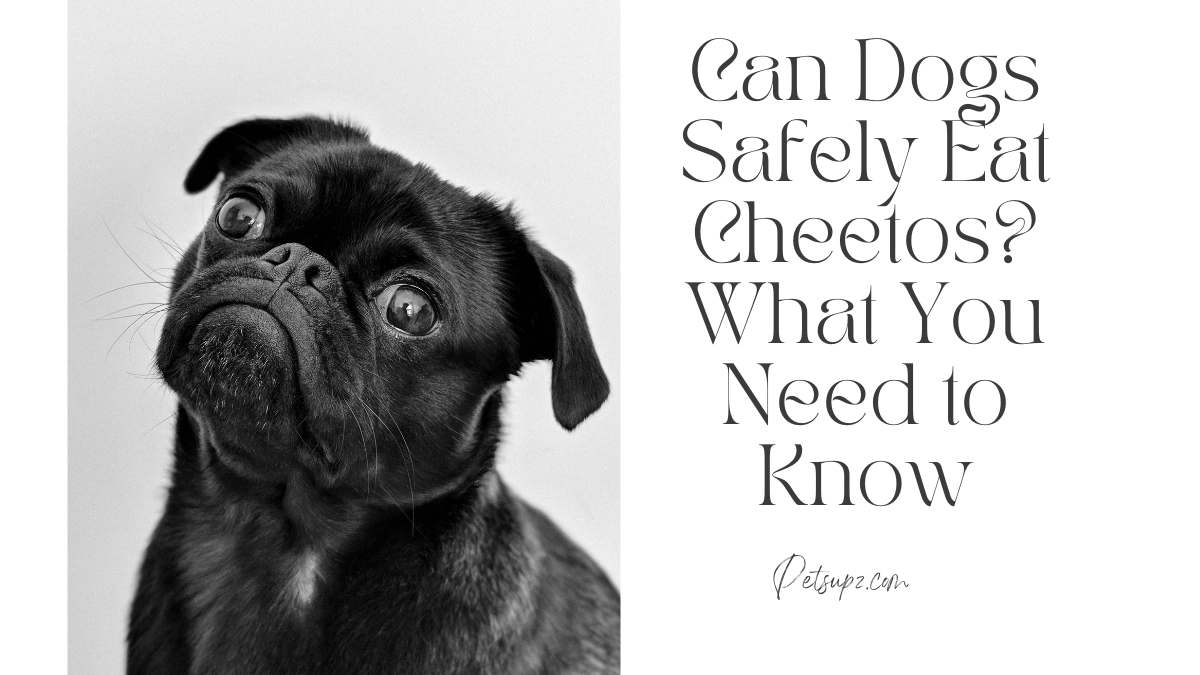 Can Dogs Safely Eat Cheetos?