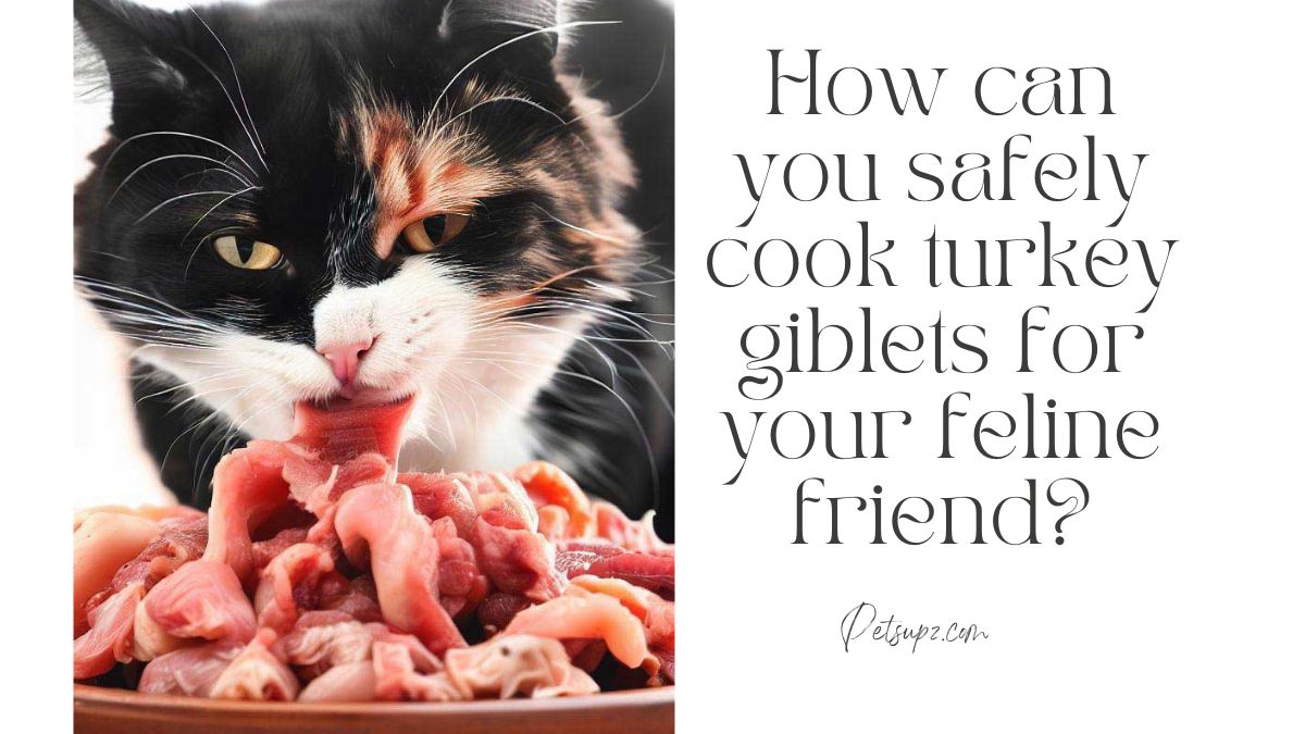 How can you safely cook turkey giblets for your feline friend?